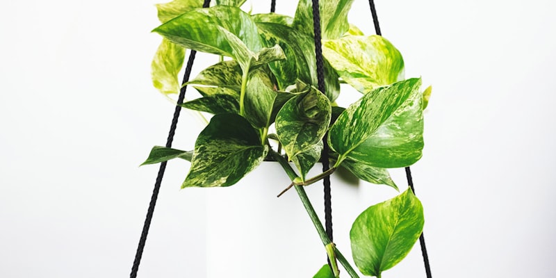 世界杯体育场内部全景 - 观众席坐满热情球迷